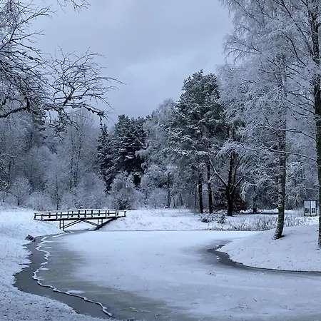 Brivdienu Maja Vejini *